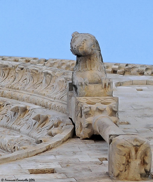 La Cattedrale Di Bitonto Viaggio Nella Splendida Arca Di Pietra Della Città Degli Ulivi Photo 