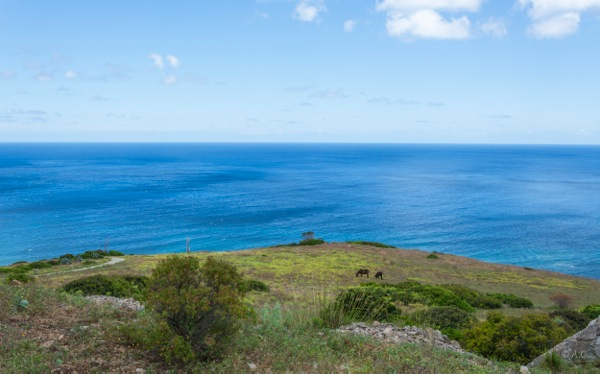 Azzurro splendore delle Egadi