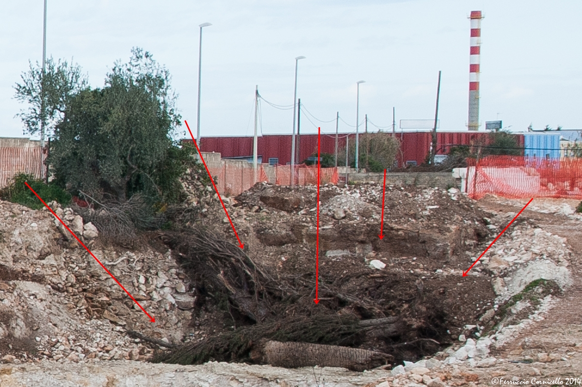 Ipogei e raddoppio della Bari-Taranto