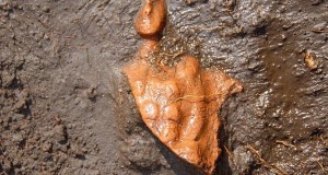 Sila archeologica: alla scoperta del volto inedito dell’altopiano calabrese