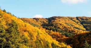 Racconta il tuo SUD | Autunno sulla Sila, immagine di Gianni Termine